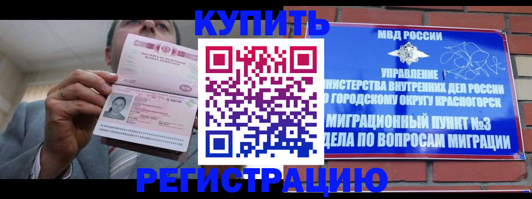 прописка в Курчалом