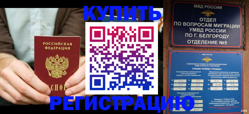 прописка 2025 в Курчалом